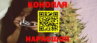 трава Кандалакша